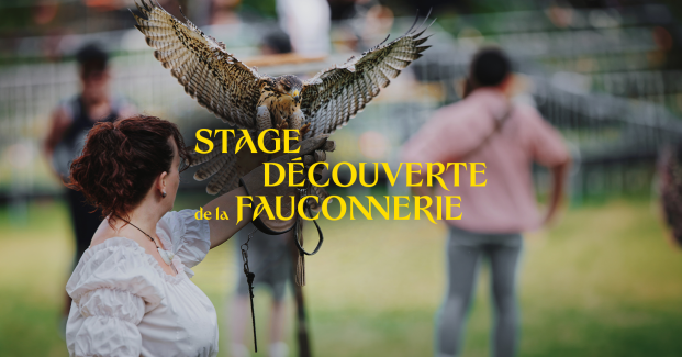 Stage fauconnerie adulte